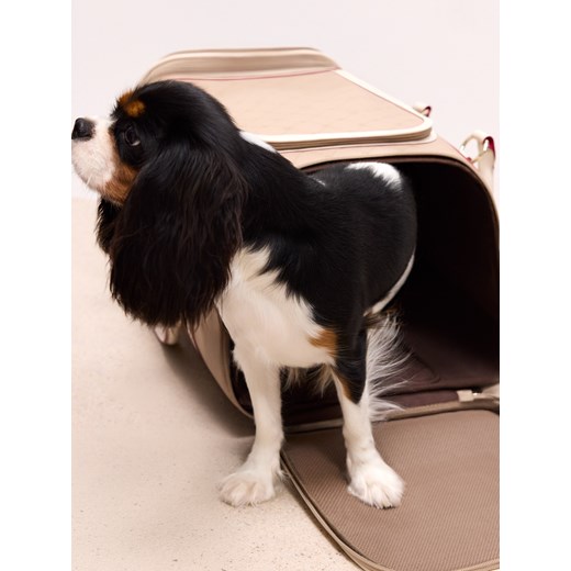 Mohito - Torba transporter - beżowy ze sklepu Mohito w kategorii Kuferki - zdjęcie 187644644