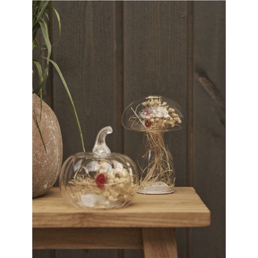 Sinsay - Lampka LED w kształcie grzybka z dekoracyjnymi suszkami - beżowy ze sklepu Sinsay w kategorii Oświetlenie led - zdjęcie 187645994