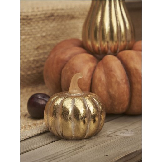 Sinsay - Lampka LED w kształcie dyni - złoty ze sklepu Sinsay w kategorii Oświetlenie led - zdjęcie 187646001