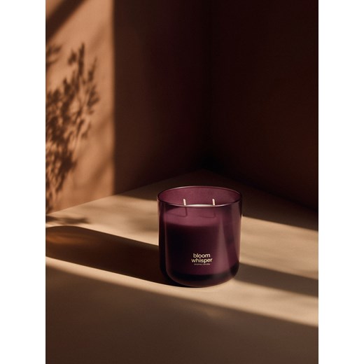 Mohito - Świeca zapachowa Bloom Whisper - bezbarwny ze sklepu Mohito w kategorii Świece i dyfuzory - zdjęcie 187649514