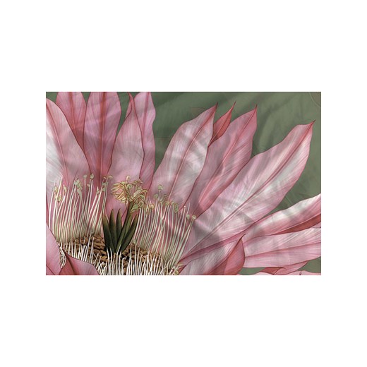 Heckett Lane Komplet pościeli satynowej &quot;Mesa&quot; w kolorze Heckett Lane 240x220 cm promocja Limango Polska