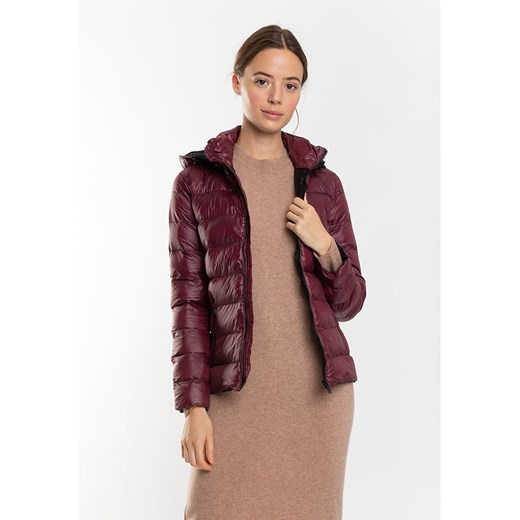 Northwood Kurtka pikowana &quot;Kirsten&quot; w kolorze bordowym ze sklepu Limango Polska w kategorii Kurtki damskie - zdjęcie 187720533