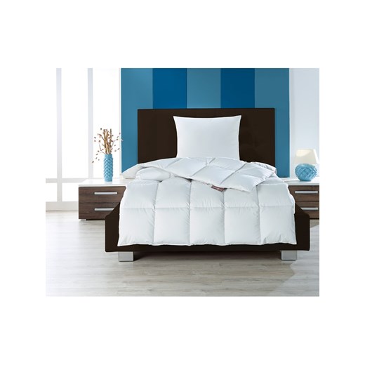 Häussling Bettwaren Poduszka &quot;Moschus Royal - soft&quot; w kolorze srebrnoszarym ze sklepu Limango Polska w kategorii Poduszki dekoracyjne - zdjęcie 187735221