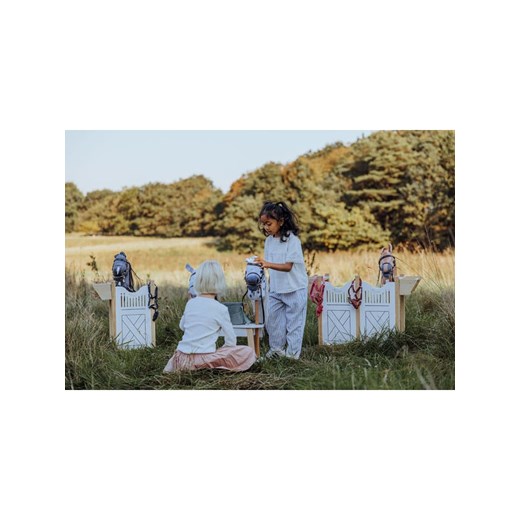 ASTRUP Boks dla 4 koni na kiju - 3+ ze sklepu Limango Polska w kategorii Zabawki - zdjęcie 187739551