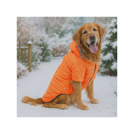 Paws&amp;Whiskers Bluza w kolorze pomarańczowym dla psa ze sklepu Limango Polska w kategorii Dla zwierząt - zdjęcie 187743653