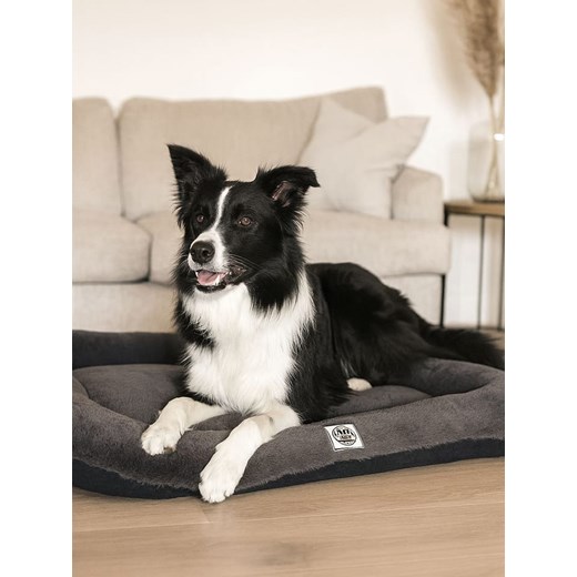 Paws&amp;Whiskers Legowisko &quot;Sally&quot; w kolorze antracytowym dla zwierząt ze sklepu Limango Polska w kategorii Dla zwierząt - zdjęcie 187779384