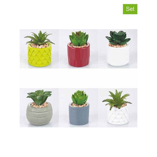 Villa d´Este Sztuczne rośliny (6 szt.) w różnych kolorach - wys. 8 x Ø 5,8 cm ze sklepu Limango Polska w kategorii Doniczki i osłonki - zdjęcie 187791722