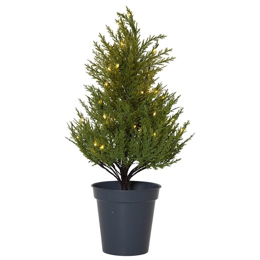 STAR Trading Choinka LED &quot;Thuja&quot; w kolorze zielonym - 55 x 28 cm ze sklepu Limango Polska w kategorii Dekoracje bożonarodzeniowe - zdjęcie 187795111