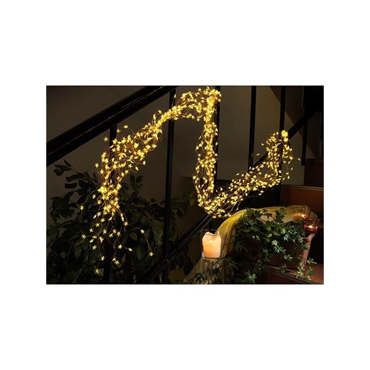 Konstsmide Łańcuch świetlny LED w kolorze ciepłej bieli Konstsmide onesize promocyjna cena Limango Polska