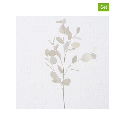 Boltze Gałązki ozdobne (2 szt.) &quot;Eukalyptus&quot; w kolorze białym - 25 x 90 cm ze sklepu Limango Polska w kategorii Doniczki i osłonki - zdjęcie 187819231