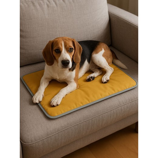 Paws&amp;Whiskers Mata termiczna w kolorze zielonym ze sklepu Limango Polska w kategorii Dla zwierząt - zdjęcie 187830470