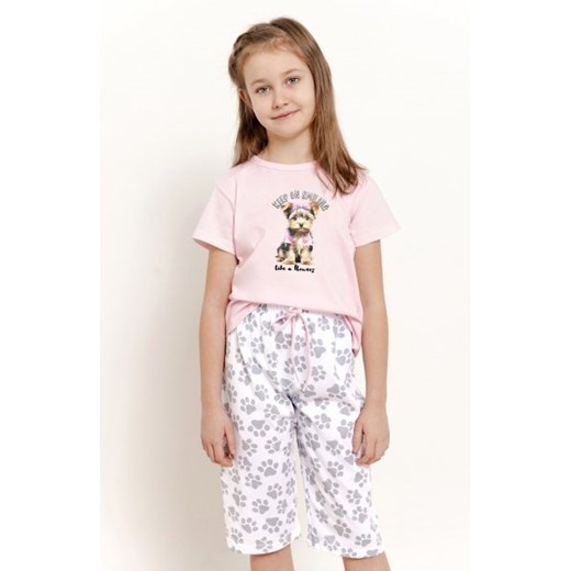 Taro Pixie 3388 piżama dziewczęca ze sklepu intimiti.pl w kategorii Piżamy dziecięce - zdjęcie 187888913