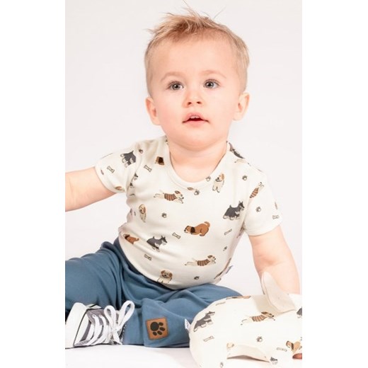 Bawełniane body krótki rękaw pieski ze sklepu intimiti.pl w kategorii Body niemowlęce - zdjęcie 187904100
