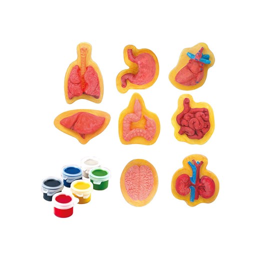 Explora Zestaw do malowania - 4+ ze sklepu Limango Polska w kategorii Zabawki - zdjęcie 188742052