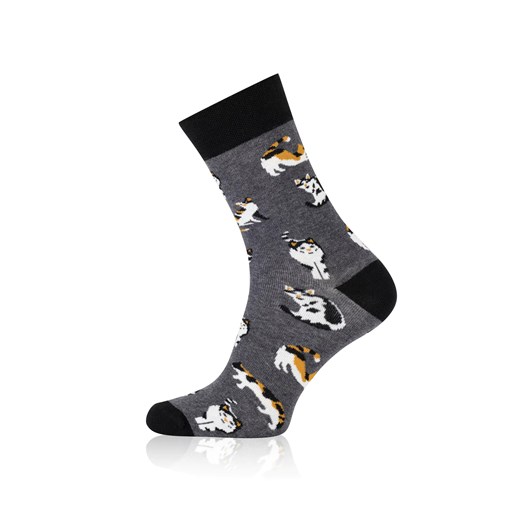 Skarpetki długie S166D KOTKI ze sklepu italianfashion w kategorii Skarpetki dziecięce - zdjęcie 188925992