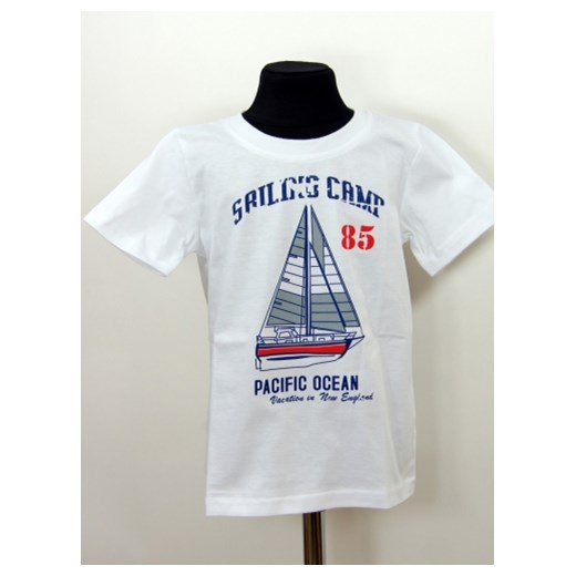 T-shirt dla chłopca, krótki rękaw Kiki Kids, Pacific Ocean - rozmiar 104 piccolino-sklep-pl szary bawełna