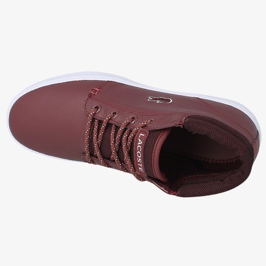 LACOSTE AMPTHILL TERRA WNT fioletowy Lacoste 37 promocyjna cena Sizeer