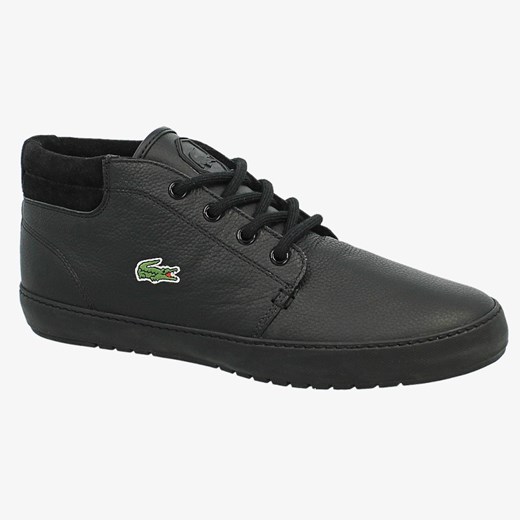 LACOSTE AMPTHILL TERRA PUT