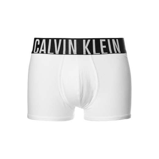 Calvin Klein Underwear POWER Panty white