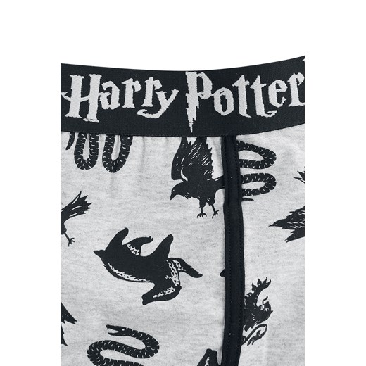 Harry Potter Crest Animals Bokserki jasnoszary melanż/czarna