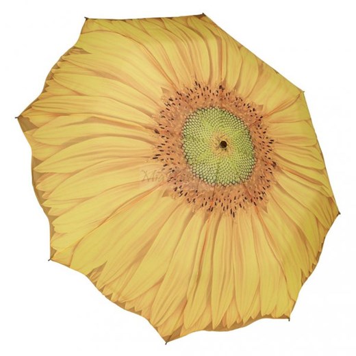 Sunflower Bloom - parasolka składana Galleria  Galleria  Parasole MiaDora.pl
