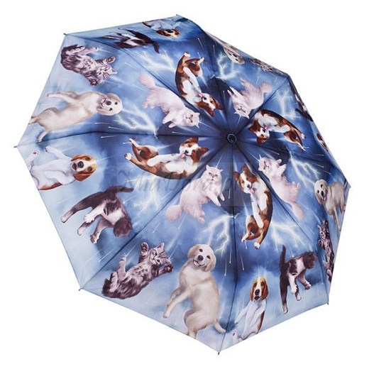 Deszcz kotów i psów - parasolka składana Galleria