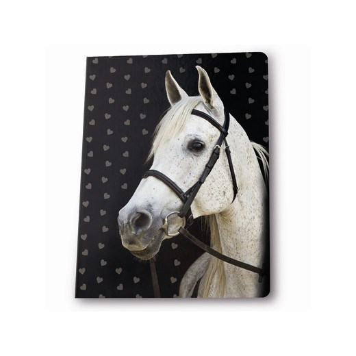 MEGA ZESTAW SZKOLNY TORNISTER Z WYPOSAŻENIEM 15W1 KOŃ KONIE HORSE GOLD Paso BIUROPRO.pl