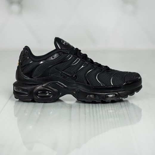 Nike Air Max Plus 604133-050