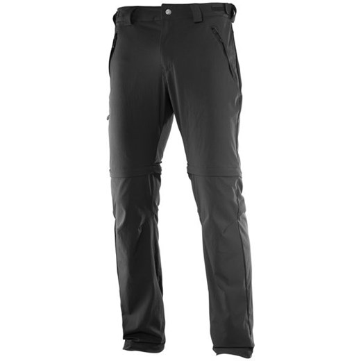 Spodnie trekkingowe męskie Wayfarer Straight Zip 2w1 Salomon (black)