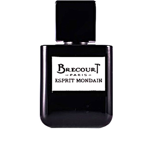 Brecourt Perfumy Męskie, Esprit Mondaine  Eau De Parfum  50 Ml, 2019, 50 ml  Brecourt 50 ml RAFFAELLO NETWORK