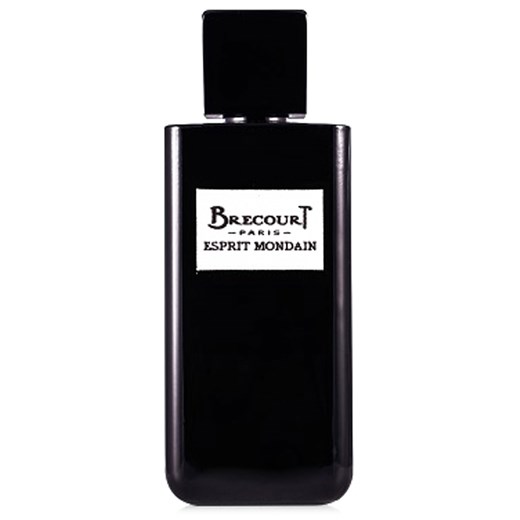 Brecourt Perfumy Męskie, Esprit Mondaine  Eau De Parfum  100 Ml, 2019, 100 ml  Brecourt 100 ml RAFFAELLO NETWORK