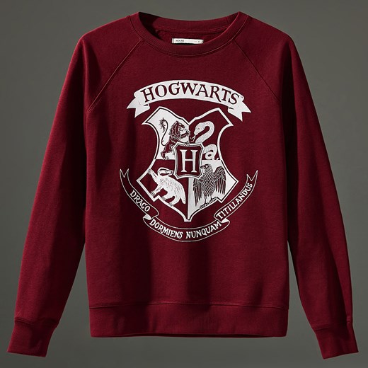 House - Bluza Harry Potter - Bordowy