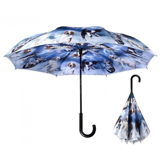 Deszcz kotów i psów - parasol odwrotny Galleria