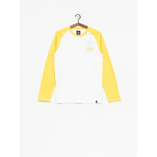 Longsleeve Dickies Dickies Baseball (dusk yellow)  Dickies L SUPERSKLEP wyprzedaż 