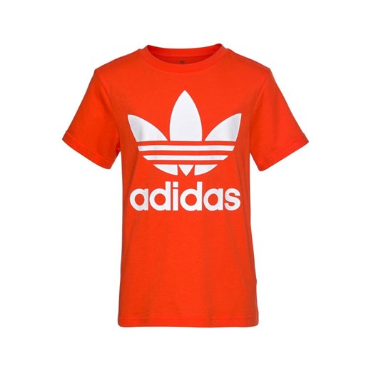 Koszulka 'Trefoil Tee' Adidas Originals  164 AboutYou