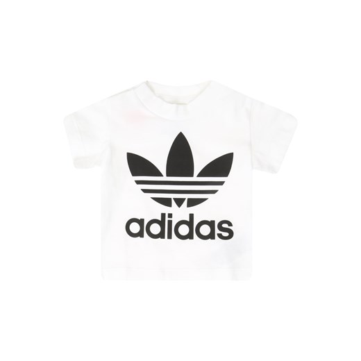 Koszulka 'TREFOIL TEE' Adidas Originals  86 AboutYou