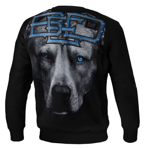 Bluza męska Pit Bull West Coast młodzieżowa 