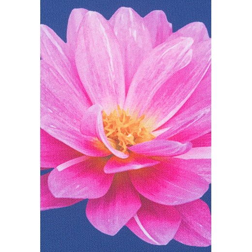 Bluzka z kwiatowym printem  Monnari XL okazyjna cena E-Monnari 