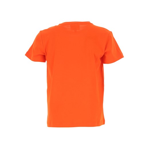 Emporio Armani Koszulka Dziecięca dla Chłopców, pomarańczowy, Bawełna, 2019, 10Y 12Y 14Y 4Y 6Y 8Y  Emporio Armani 8Y RAFFAELLO NETWORK