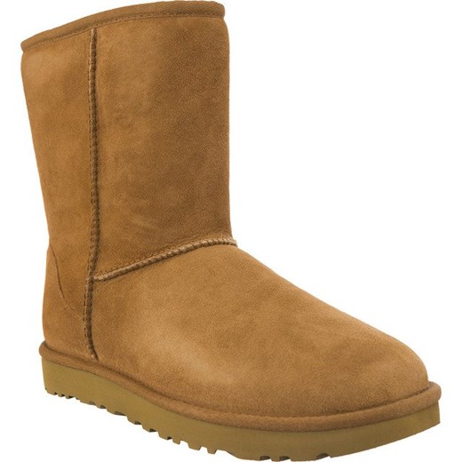 Śniegowce damskie Buty Ugg 