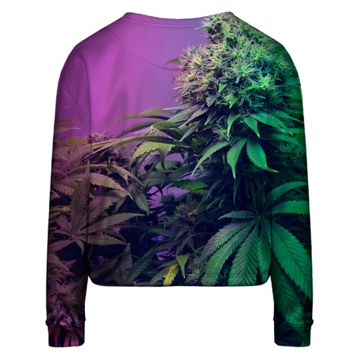Bluza krótka - Marijuana