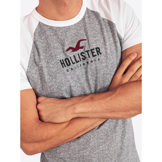 T-shirt męski Hollister z krótkimi rękawami 