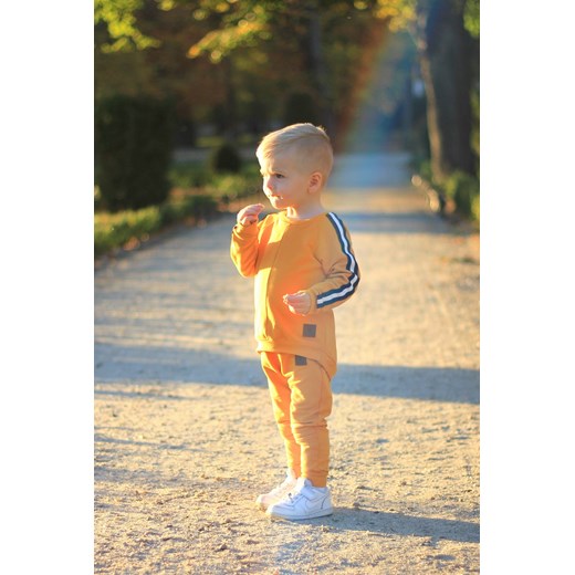 Odzież dla niemowląt Little Gold King na wiosnę chłopięca z elastanu 