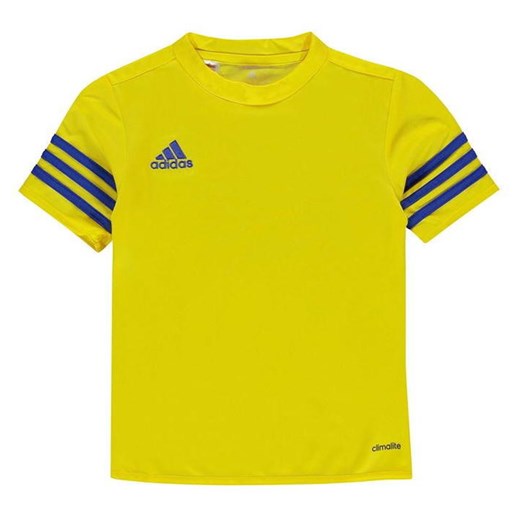 Adidas Entrada 14 Jersey, koszulka dla chłopców, żółta, Rozmiar 7-8 lat