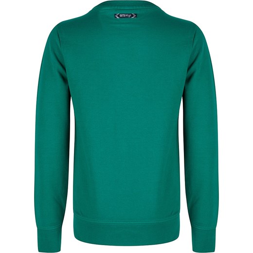 Sweter w kolorze zielonym