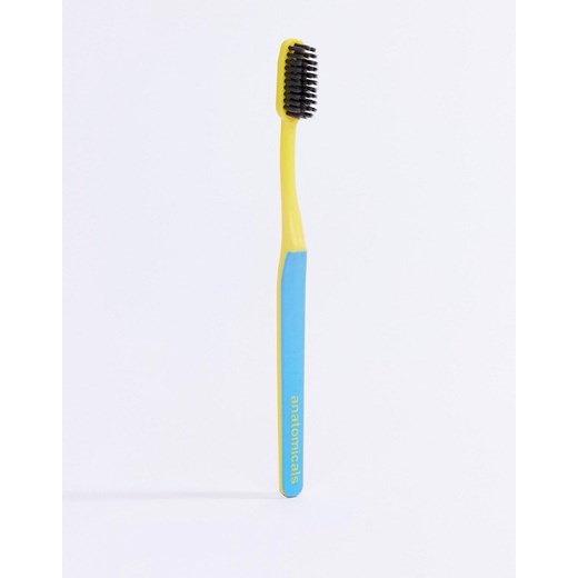 Anatomicals And Ain't That The Tooth The Better Brush – Niebieska szczoteczka z aktywnym węglem-Brak koloru