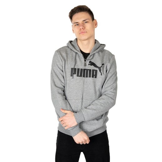 Bluza Puma Essentials Hoody Big Logo (851765-03)