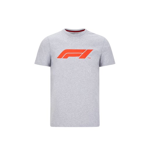 T-shirt męski Formula 1 szary 