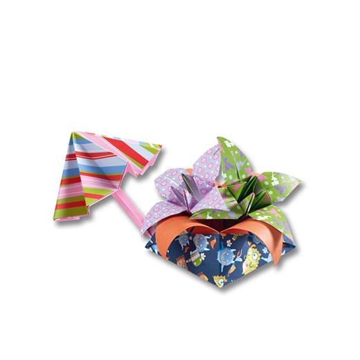 Domodi Folia