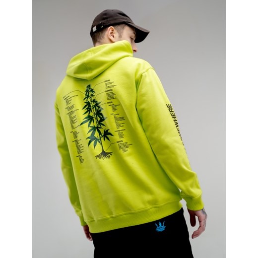Bluza męska Kush